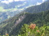 IMG_0052