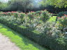 IMG_0128